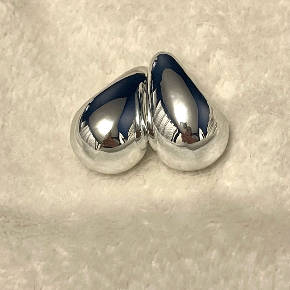 NWT- Beautiful Drop Earrings